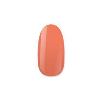 NiiZA Gel Polish 4ml - 042